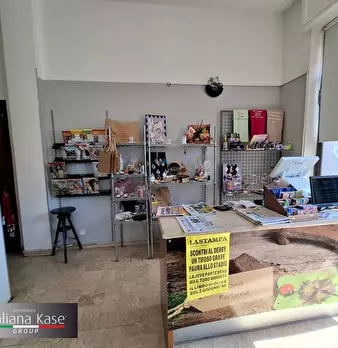 Foto annuncio 9