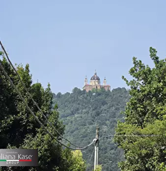Foto annuncio 4