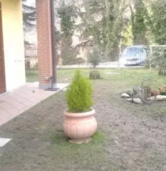 Foto annuncio 2
