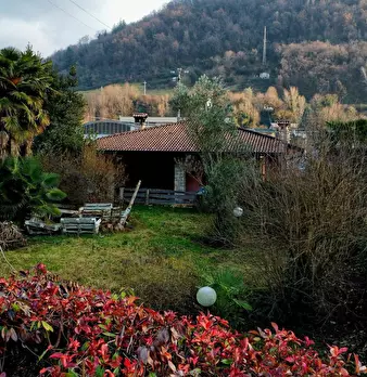 Foto annuncio 2