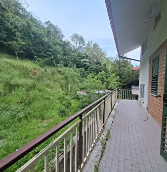 Foto annuncio 7