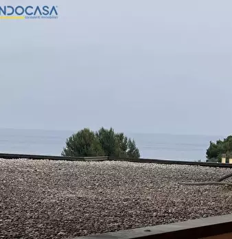 Foto annuncio 35