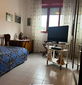 Foto annuncio 8