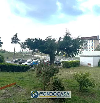 Foto annuncio 14