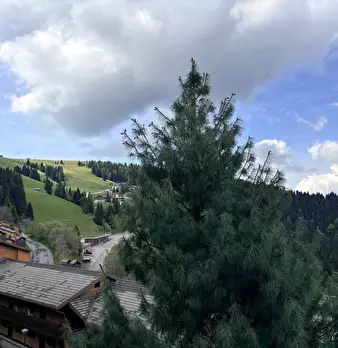 Foto annuncio 7