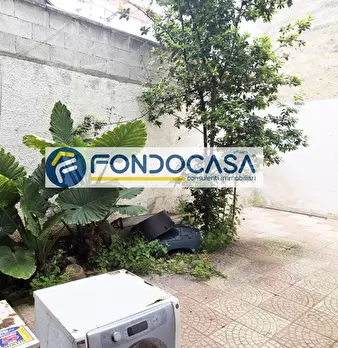 Foto annuncio 10