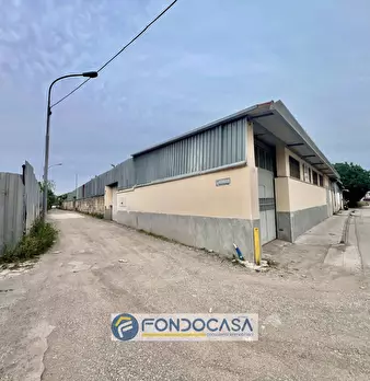 Foto annuncio 10