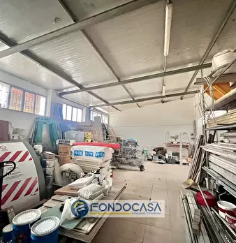 Foto annuncio 11