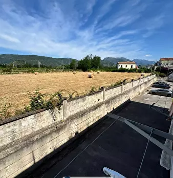 Foto annuncio 12