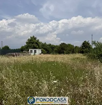 Foto annuncio 4