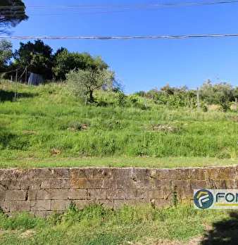 Foto annuncio 41