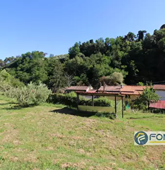 Foto annuncio 56