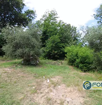 Foto annuncio 20