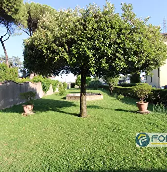 Foto annuncio 43