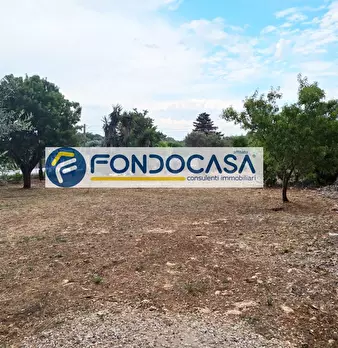 Foto annuncio 35