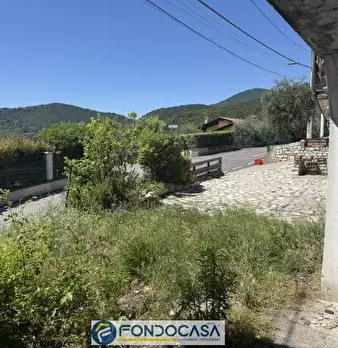 Foto annuncio 6