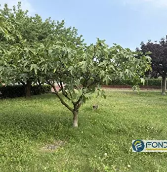 Foto annuncio 4