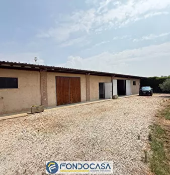 Foto annuncio 9