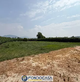 Foto annuncio 16