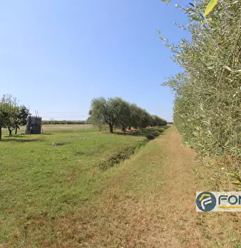 Foto annuncio 13