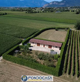 Foto annuncio 7