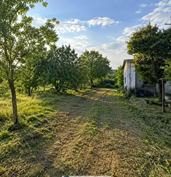 Foto annuncio 3