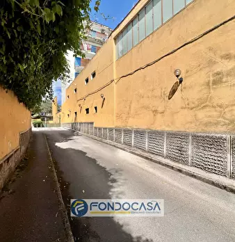 Foto annuncio 7