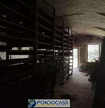 Foto annuncio 29