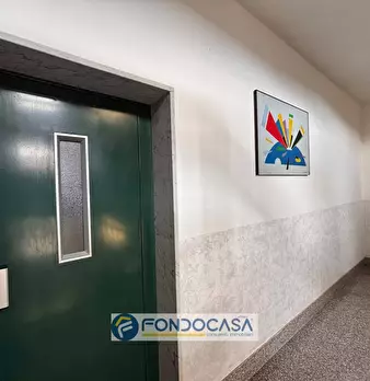 Foto annuncio 44
