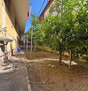 Foto annuncio 9