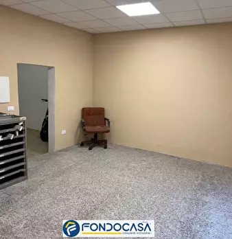 Foto annuncio 12