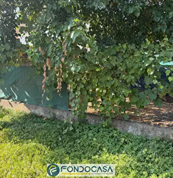 Foto annuncio 9