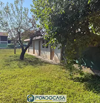 Foto annuncio 10