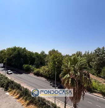 Foto annuncio 41