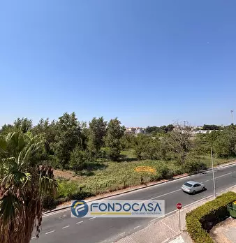 Foto annuncio 42