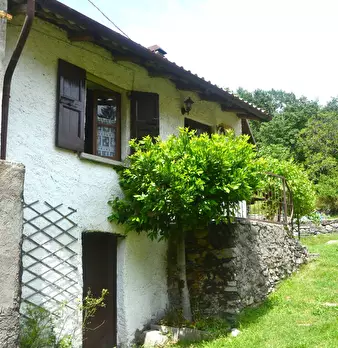 Foto annuncio 1