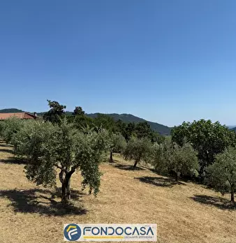 Foto annuncio 10