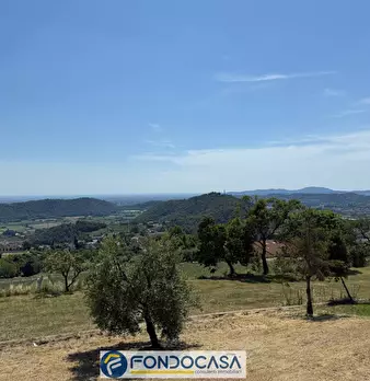 Foto annuncio 11