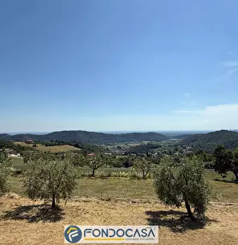 Foto annuncio 12