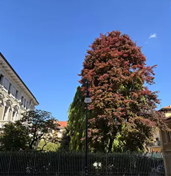Foto annuncio 4