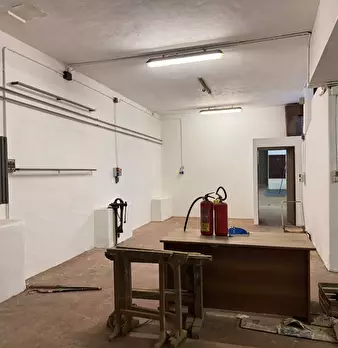 Foto annuncio 11