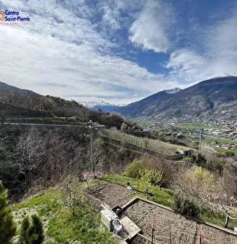 Foto annuncio 12