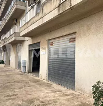 Foto annuncio 2
