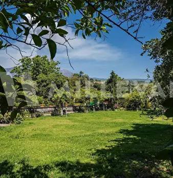 Foto annuncio 31