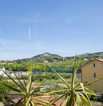 Foto annuncio 29