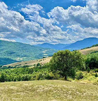 Foto annuncio 2