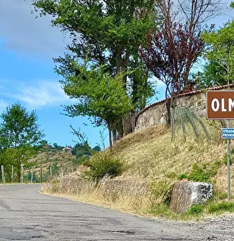 Foto annuncio 3