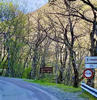 Foto annuncio 1