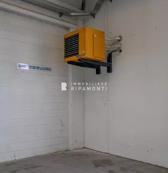 Foto annuncio 9