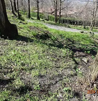 Foto annuncio 8